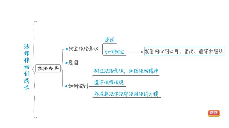 部编版道德与法治中考一轮复习--教材梳理--第8课时 走进法治天地（复习课件）07