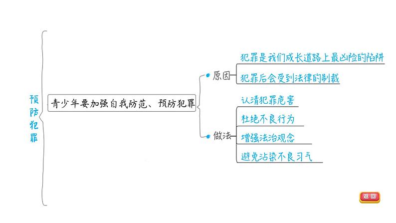 部编版道德与法治中考一轮复习--教材梳理--第11课时 做守法的公民（复习课件）第7页