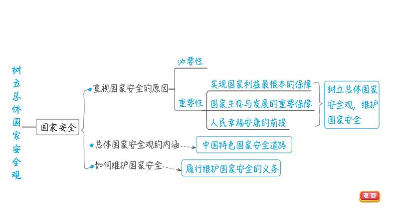 部编版道德与法治中考一轮复习--教材梳理--第13课时 维护国家利益（复习课件）第6页