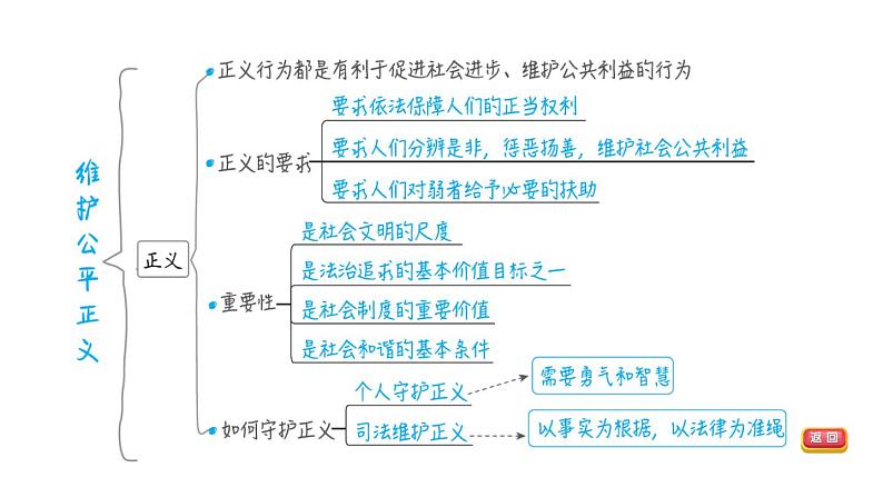 部编版道德与法治中考一轮复习--教材梳理--第18课时 崇尚法治精神（复习课件）07