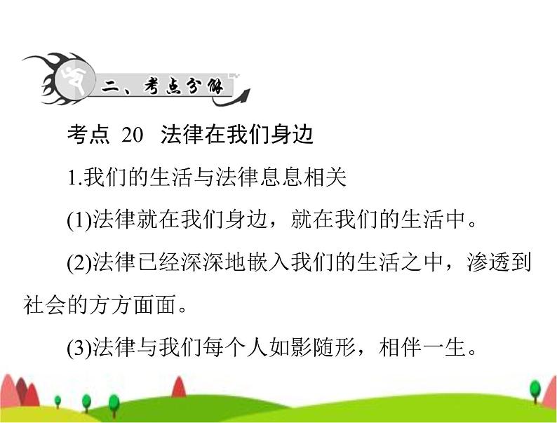 中考道德与法治总复习专题六知法守法特殊保护课件第3页