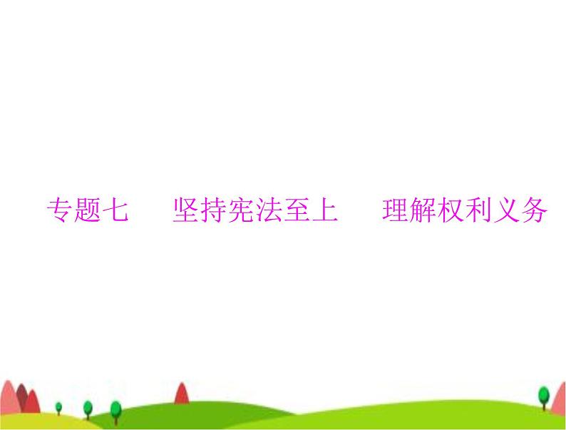 中考道德与法治总复习专题七坚持宪法至上理解权利义务课件01