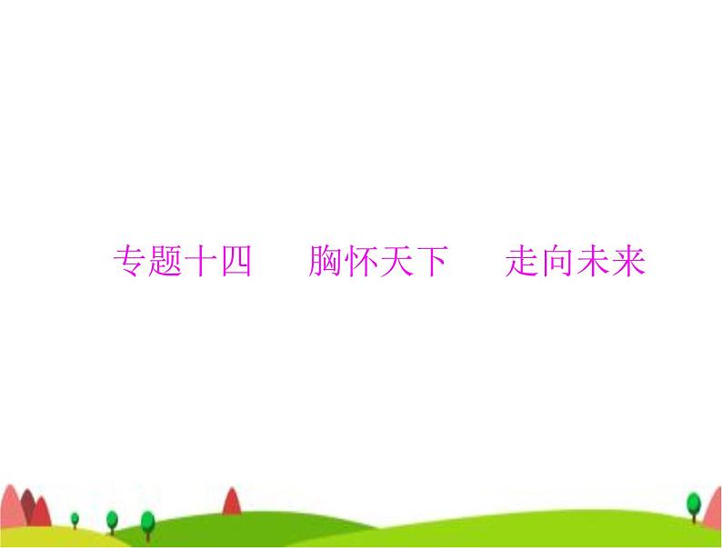 中考道德与法治总复习专题十四胸怀天下走向未来课件01