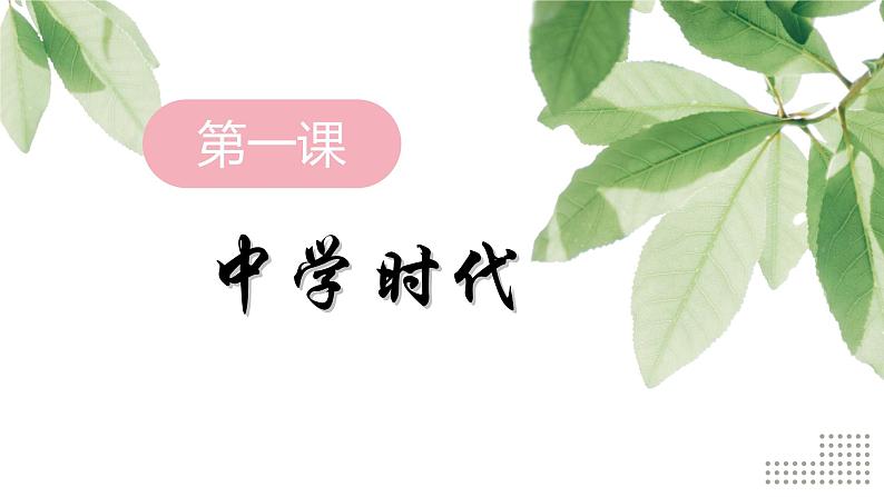 1.1中学序曲课件第2页