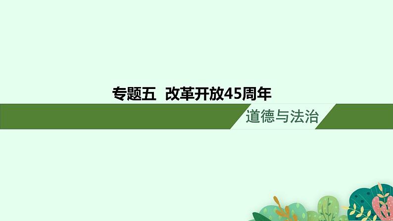 安徽省2023届中考道德与法治(时政热点)专题五 改革开放45周年 课件第1页