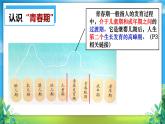 1.1 悄悄变化的我  课件