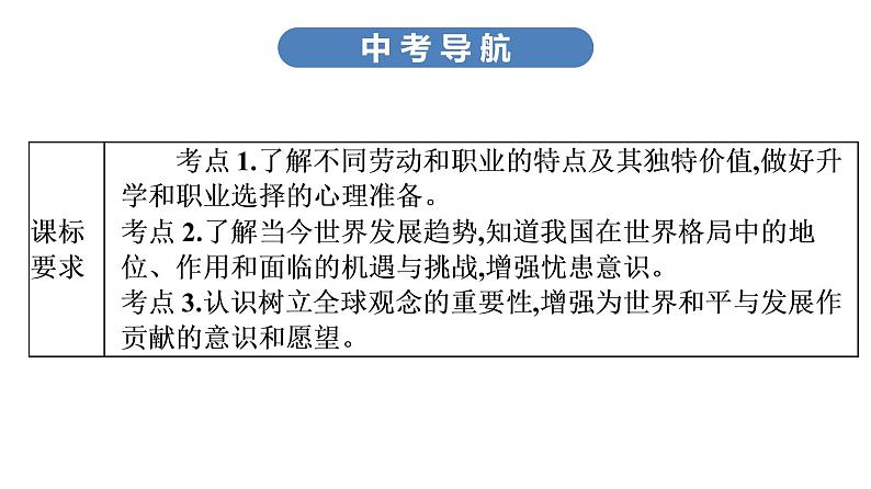 中考道德与法治总复习第二节　报效祖国　胸怀天下课件03