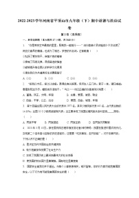 2022-2023学年河南省平顶山市九年级（下）期中道德与法治试卷（含解析）