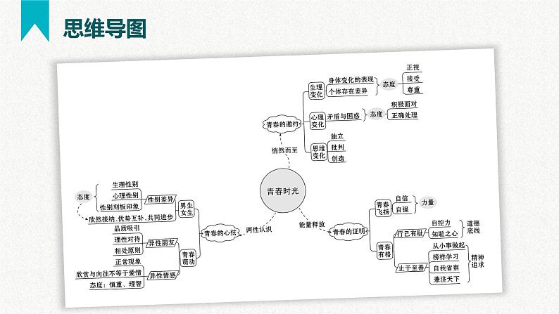 第一单元  青春时光（精讲课件·知识梳理）——2022-2023学年部编版道德与法治七年级下册单元综合复习06