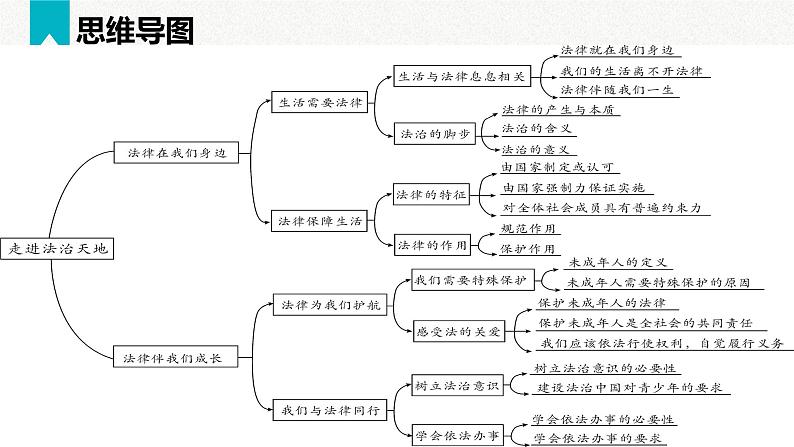 第四单元 走进法治天地（精讲课件·知识梳理）——2022-2023学年部编版道德与法治七年级下册单元综合复习.pptx06