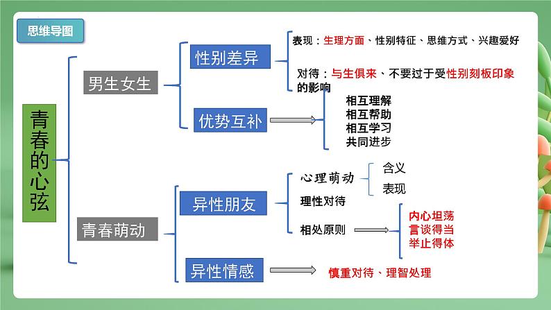 2022-2023年部编版道德与法治七年级下册专项复习精讲精练：专题02 青春的心弦（知识清单）03