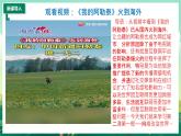 部编版8上道德与法治第二课第一框《网络改变世界》课件+教案