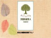 部编版道德与法治七年级下册 10.1法律为我们护航 课件