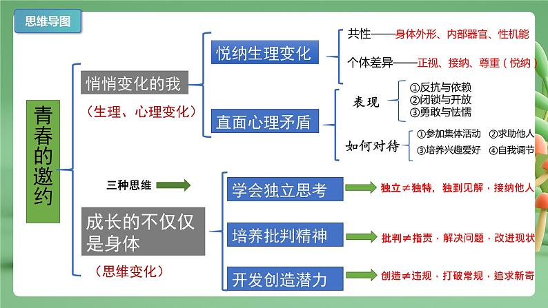 2022-2023年部编版道德与法治七年级下册专项复习精讲精练：专题01 青春的邀约（知识清单）第3页