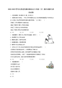 2022-2023学年江苏省无锡市锡北片八年级（下）期中道德与法治试卷（含解析）