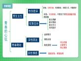 部编版7下道德与法治第一单元青春时光复习课件