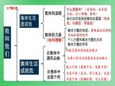 部编版7下道德与法治第三单元在集体中成长复习课件