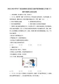 2022-2023学年广东省深圳市龙岗区宏扬学校等两校九年级（下）期中道德与法治试卷（含解析）