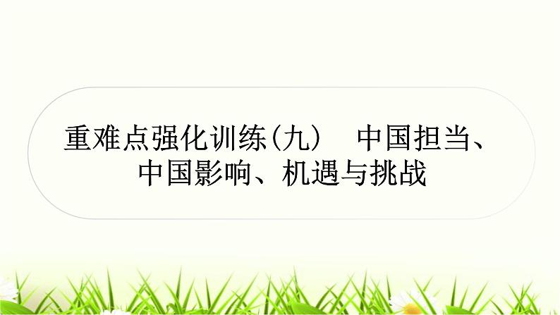 中考道德与法治复习重难点强化训练（九）作业课件第1页