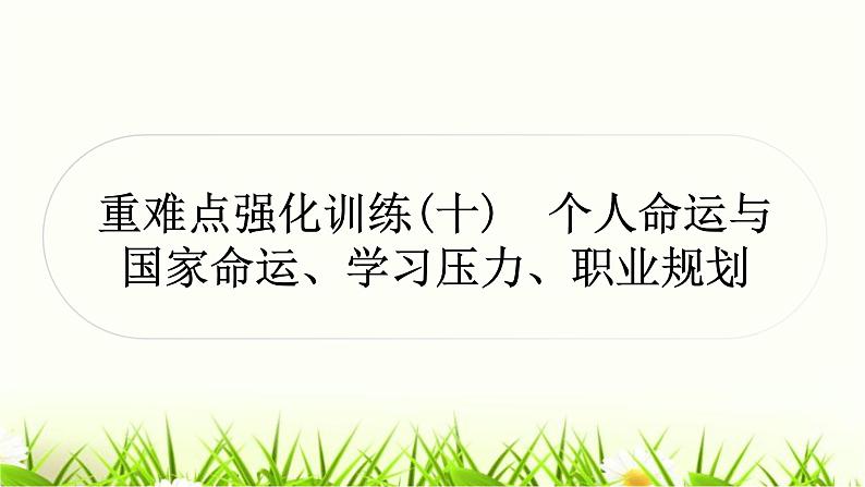 中考道德与法治复习重难点强化训练（十）作业课件第1页