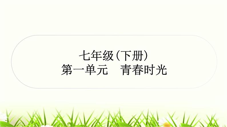 中考道德与法治复习七年级下册第一单元青春时光作业课件01