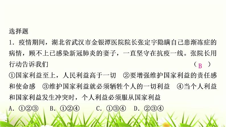 中考道德与法治复习八年级上册第四单元维护国家利益作业课件第2页