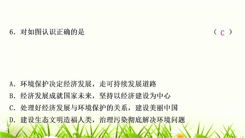 中考道德与法治复习九年级上册第三单元文明与家园第六课建设美丽中国作业课件第7页