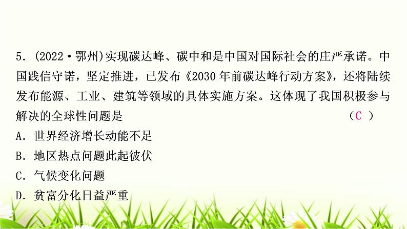 中考道德与法治复习九年级下册第一单元我们共同的世界作业课件06