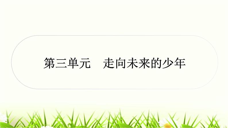 中考道德与法治复习九年级下册第三单元走向未来的少年作业课件第1页