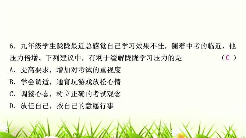 中考道德与法治复习九年级下册第三单元走向未来的少年作业课件第7页