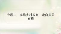 中考道德与法治复习专题二实施乡村振兴走向共同富裕教学课件