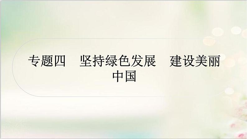 中考道德与法治复习专题四坚持绿色发展建设美丽中国教学课件第1页