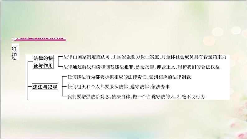 中考道德与法治复习专题五维护法律权威建设法治中国教学课件第2页