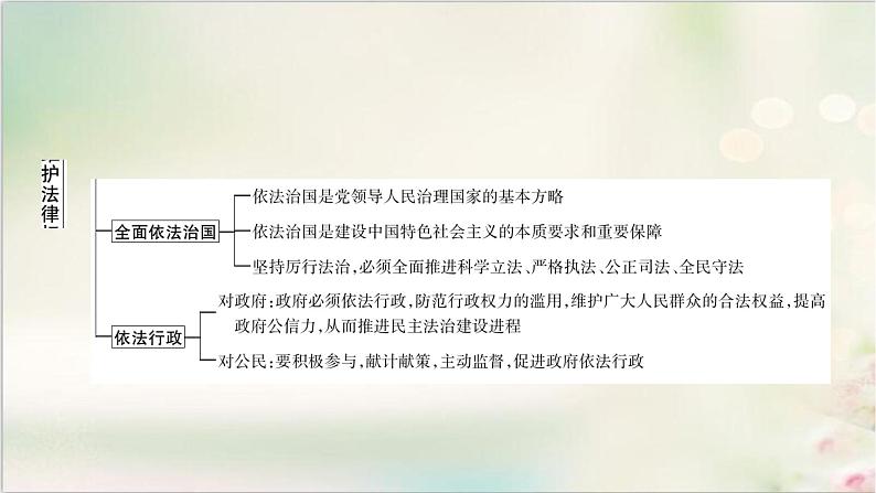 中考道德与法治复习专题五维护法律权威建设法治中国教学课件第4页