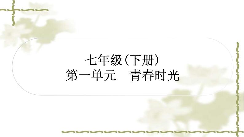 中考道德与法治复习七年级下册第一单元青春时光教学课件第1页