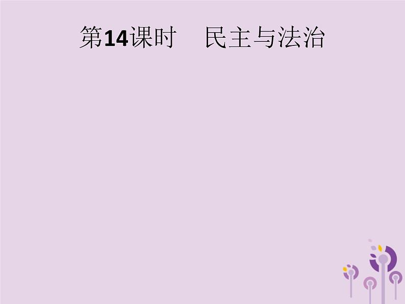 中考道德与法治一轮复习基础知识过关课件第14课时民主与法治 (含答案)01