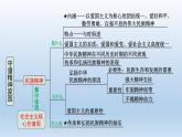 道德与法治中考一轮总复习课件 课时4 守望精神家园 （九上第五课）