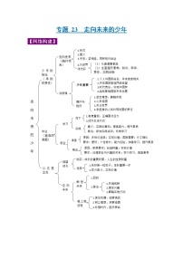 中考道德与法治三轮冲刺 知识点梳理与冲刺练习专题23 走向未来的少年 (含详解)