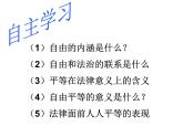 部编版八年级道德与法治下册--7.1自由平等的真谛（课件4）