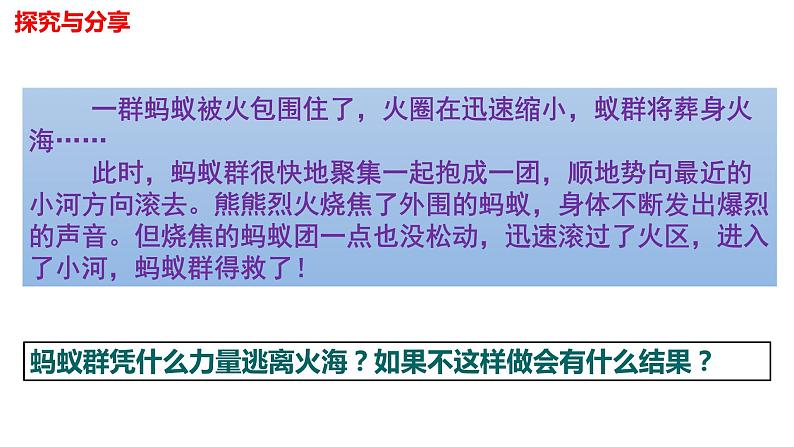 8.1 憧憬美好集体（含视频）-【轻松备课】2022-2023学年七年级道德与法治下册高效课堂示范课件（部编版）第6页