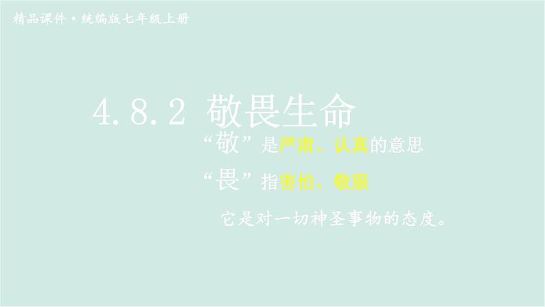 部编版道德与法治七年级上册 4.8.2 敬畏生命 教学课件+同步教案01