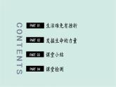 部编版道德与法治七年级上册 4.9.2 增强生命的韧性 教学课件+同步教案+素材