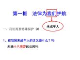 10.1 法律为我们护航 课件-2022-2023学年部编版道德与法治七年级下册 (1)