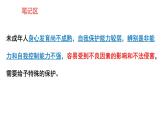 10.1 法律为我们护航 课件-2022-2023学年部编版道德与法治七年级下册