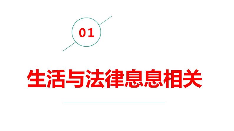 9.1 生活需要法律课件第4页