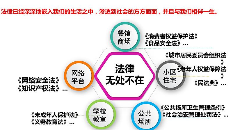 9.1 生活需要法律课件第7页