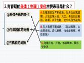 第一课 青春的邀约 复习课件  2021-2022学年部编版道德与法治七年级下册 (1)