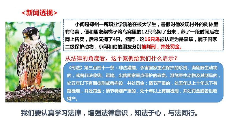 10.2 我们与法律同行 课件-2022-2023学年部编版道德与法治七年级下册 (1)第4页