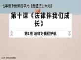 10.1《法律为我们护航》教学课件