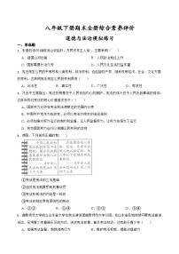 期末全册综合素养评价试题-2022-2023年道德与法治八年级下册